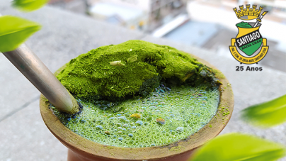 fatores influenciam no sabor da erva-mate